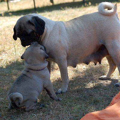 Mama Adele und Albin im Zwiegespräch