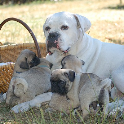 Onkel Terence beim Babysitten